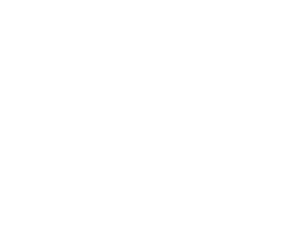 PVI Investimentos